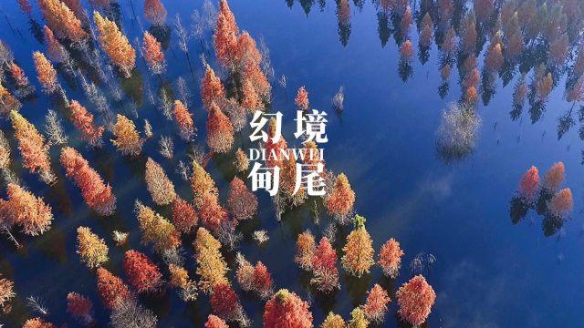 点旺新春“烟火气”